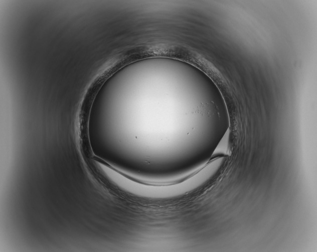 X0000095940730200801251109