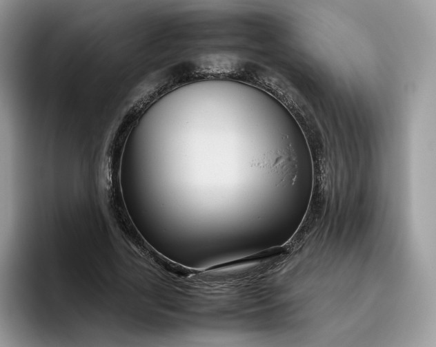 X0000095940731200801251109