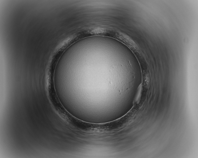 X0000095940732200801251109