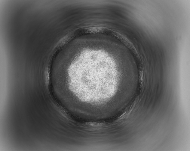 X0000095940733200801251109