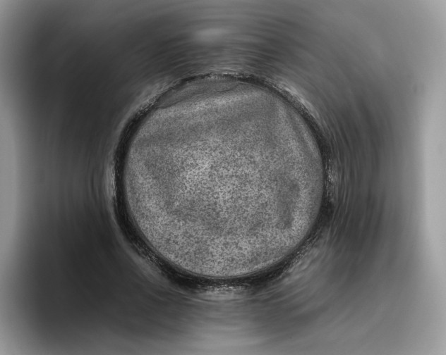 X0000095940734200801251109