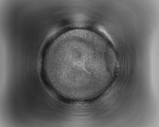 X0000095940736200801251109