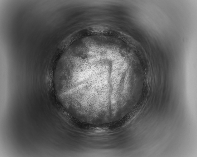 X0000095940737200801251109