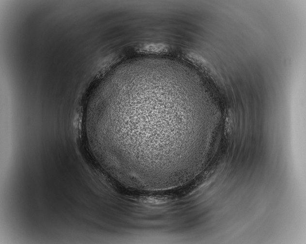 X0000095940739200801251109