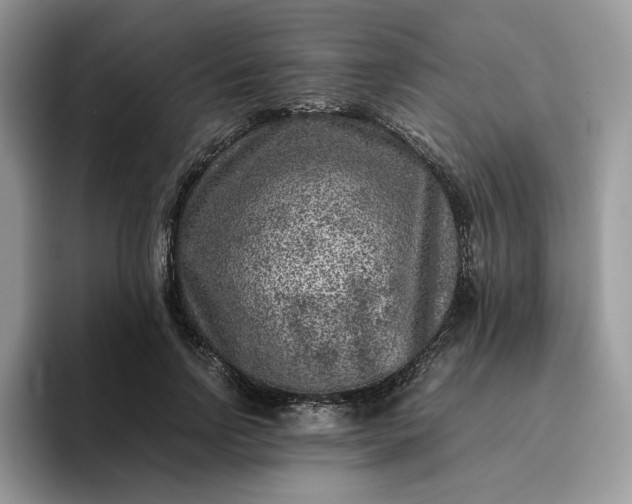 X0000095940742200801251109