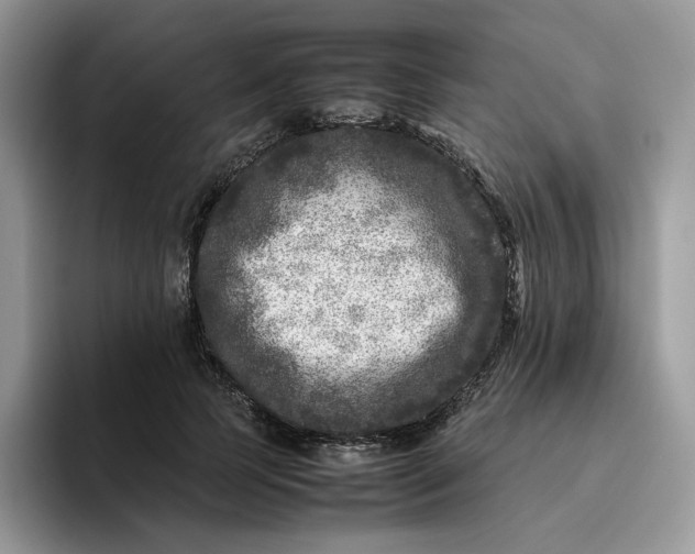 X0000095940745200801251109