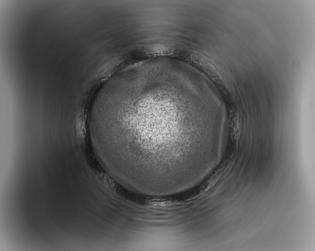 X0000095940746200801251109