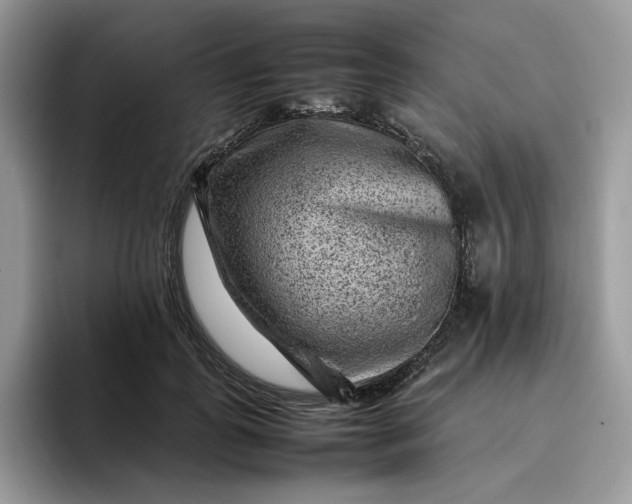 X0000095940747200801251109