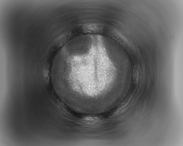 X0000095940749200801251109