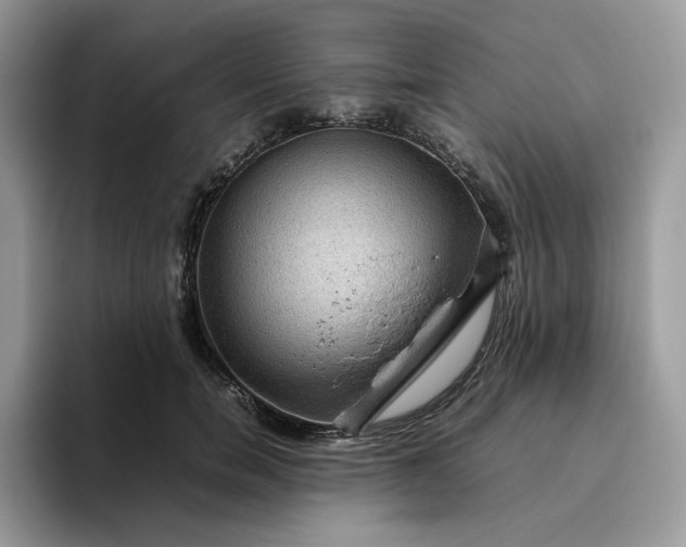X0000095940750200801251110