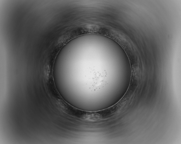 X0000095940752200801251110