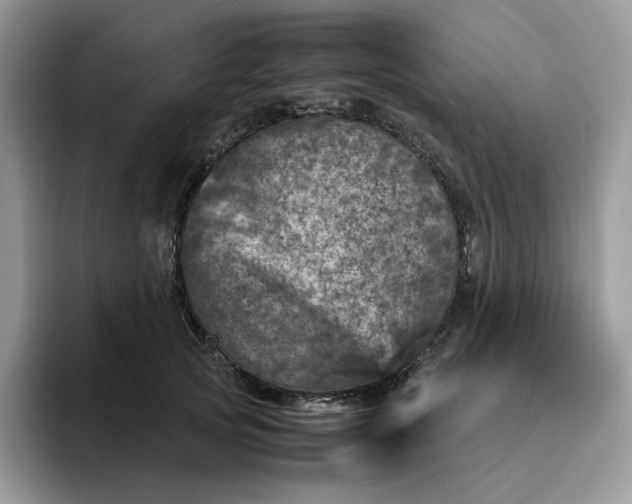 X0000095940753200801251110
