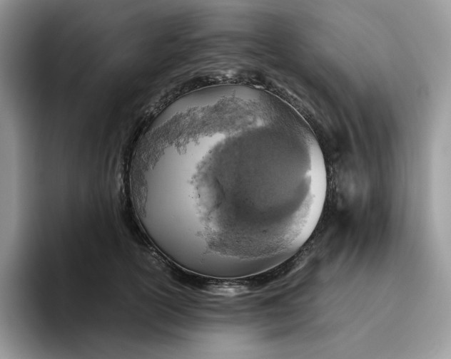 X0000095940754200801251110