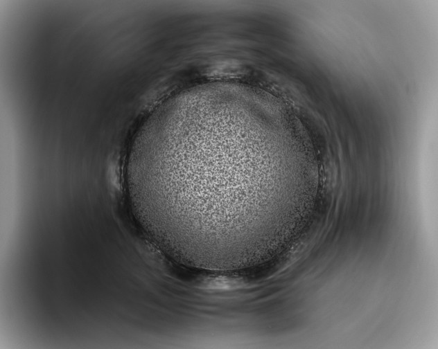 X0000095940755200801251110
