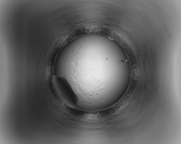 X0000095940756200801251110