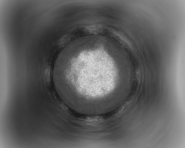 X0000095940757200801251110