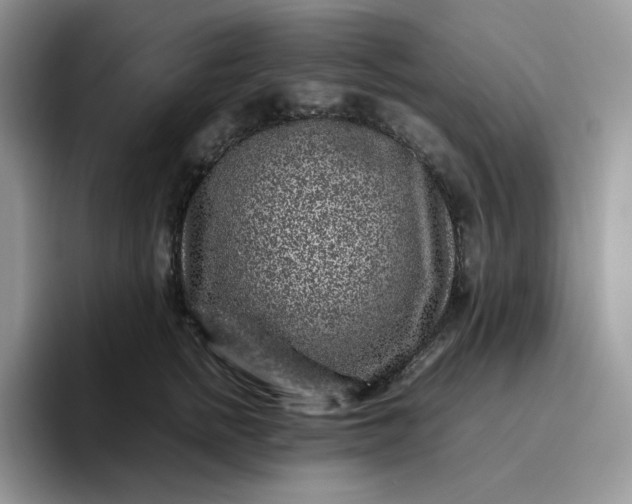X0000095940758200801251110
