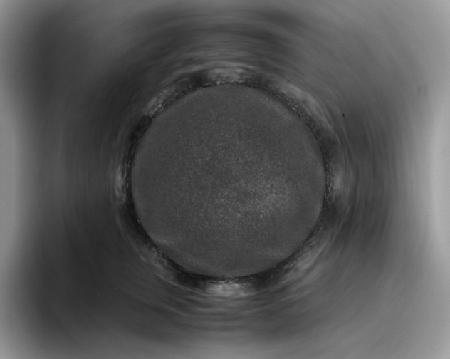 X0000095940759200801251110