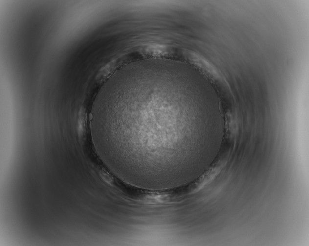 X0000095940760200801251110
