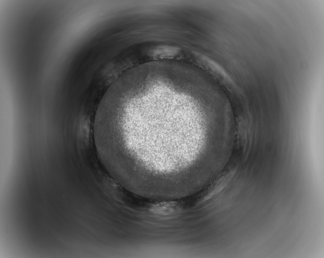 X0000095940761200801251110