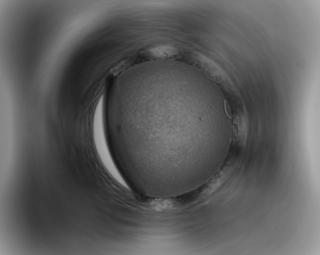 X0000095940762200801251110