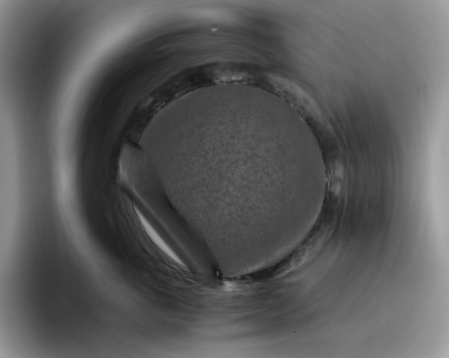X0000095940763200801251110
