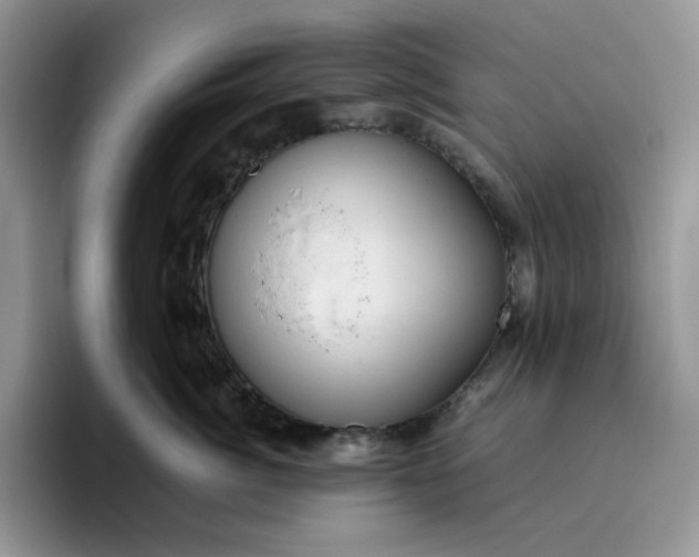 X0000095940764200801251110