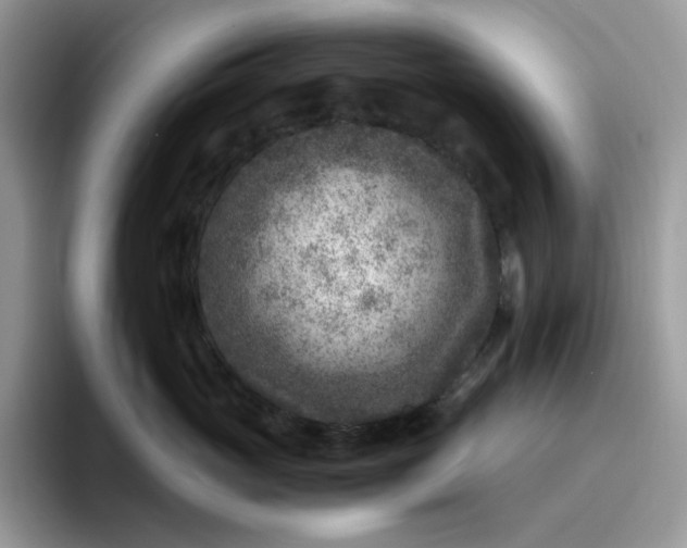 X0000095940765200801251110