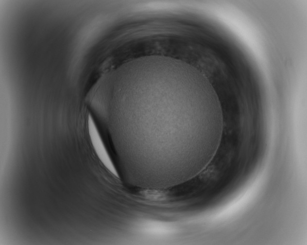 X0000095940766200801251110