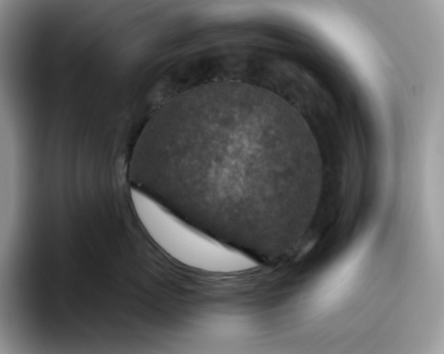 X0000095940767200801251110