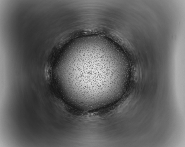 X0000095940770200801251109