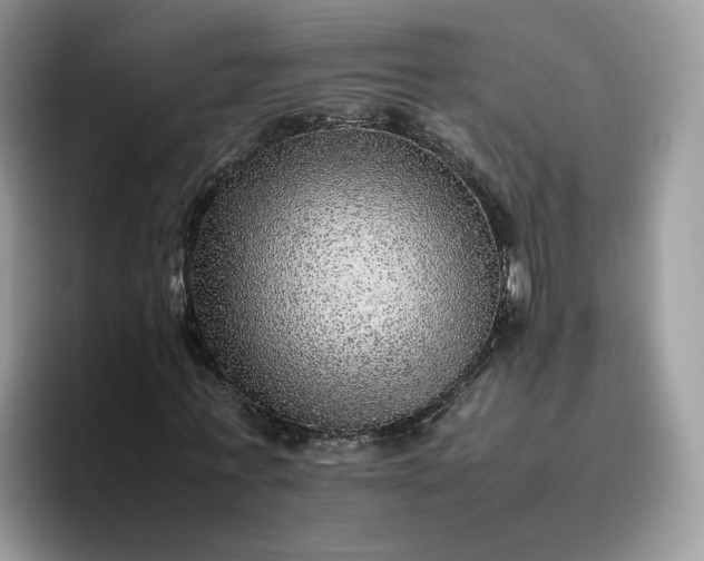 X0000095940771200801251109