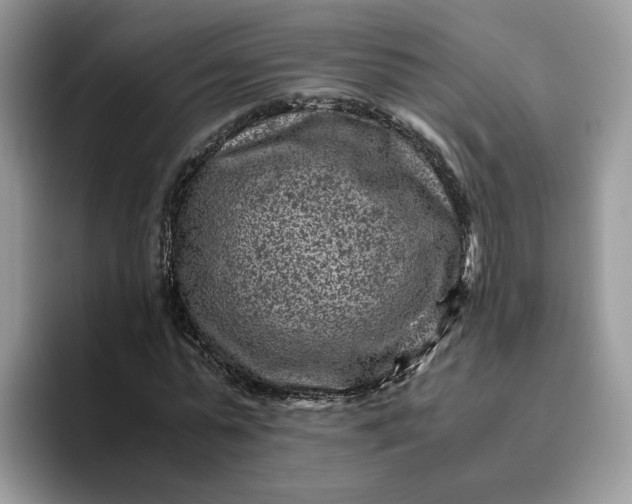 X0000095940775200801251109
