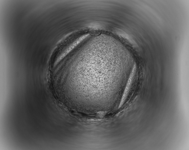 X0000095940776200801251109