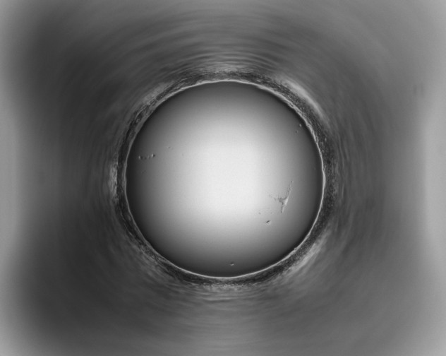 X0000095940777200801251109