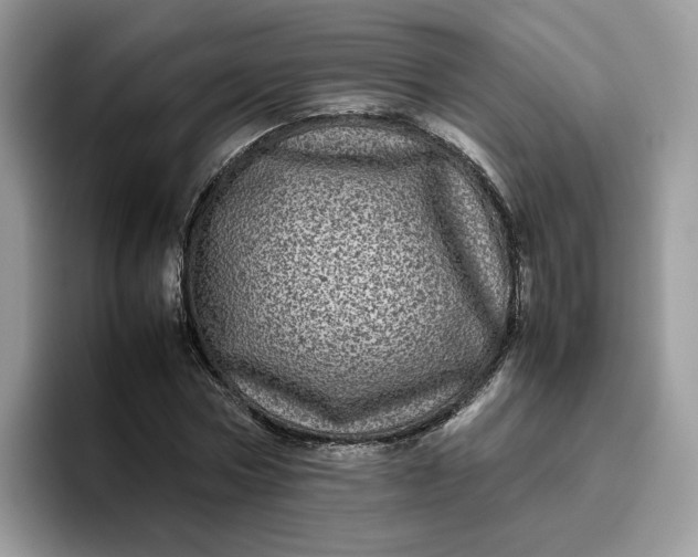 X0000095940778200801251109