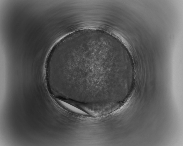 X0000095940779200801251109