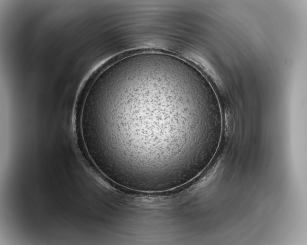 X0000095940780200801251109