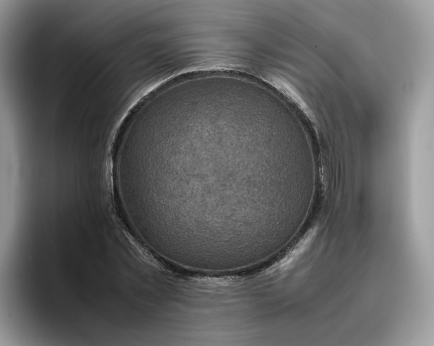 X0000095940781200801251109