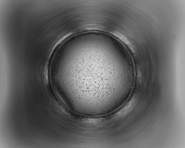 X0000095940782200801251109