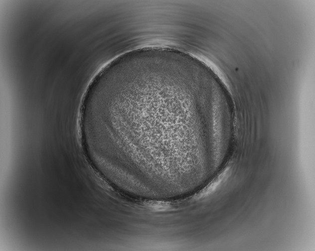 X0000095940783200801251109