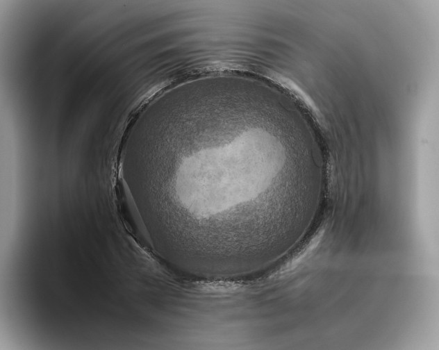 X0000095940785200801251109