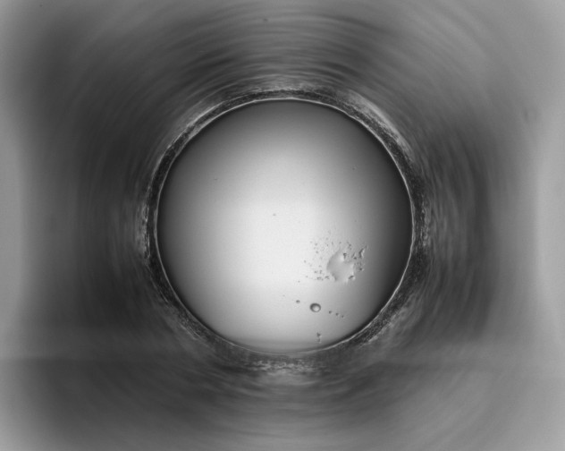 X0000095940786200801251109