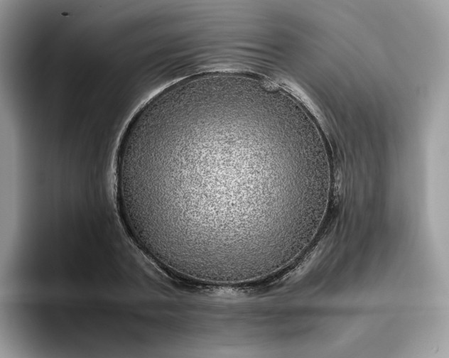 X0000095940787200801251109