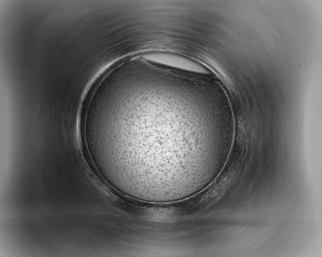 X0000095940788200801251109