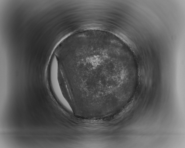 X0000095940790200801251109