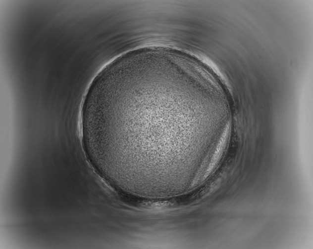 X0000095940791200801251109