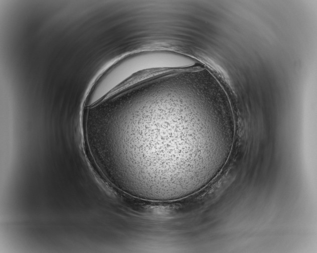 X0000095940792200801251109