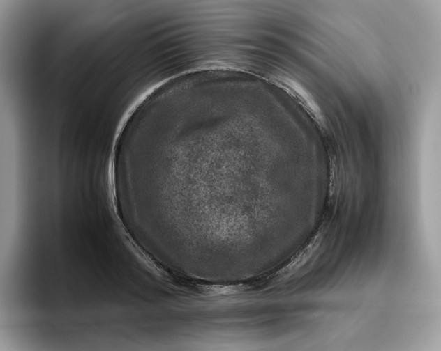 X0000095940796200801251109