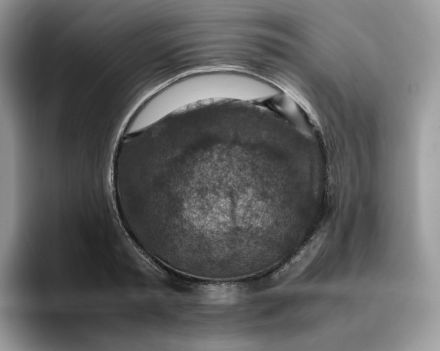 X0000095940797200801251109